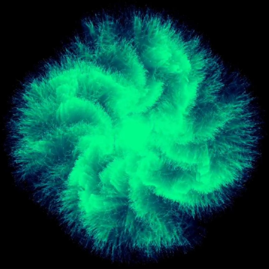 Slide SlimeFractal1