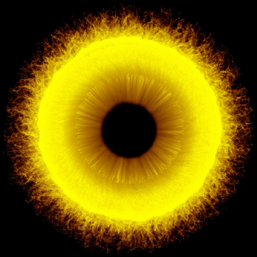 Slide SlimeYellowCircle3